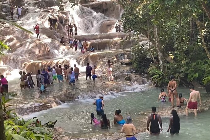 Private Dunns River Falls and Horse Back Riding - Choosing a horse in Saint Ann Parish