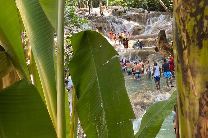 Private Dunns River Falls and Horse Back Riding - Who should book this outing?