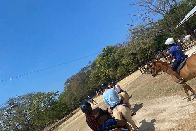 Private Dunns River Falls and Horse Back Riding - Starting at Dunn’s River Falls and Park