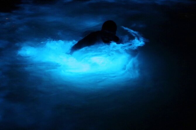 Private Guided Night Tour of Luminous Lagoon in Montego Bay - From Montego Bay to Falmouth after dark