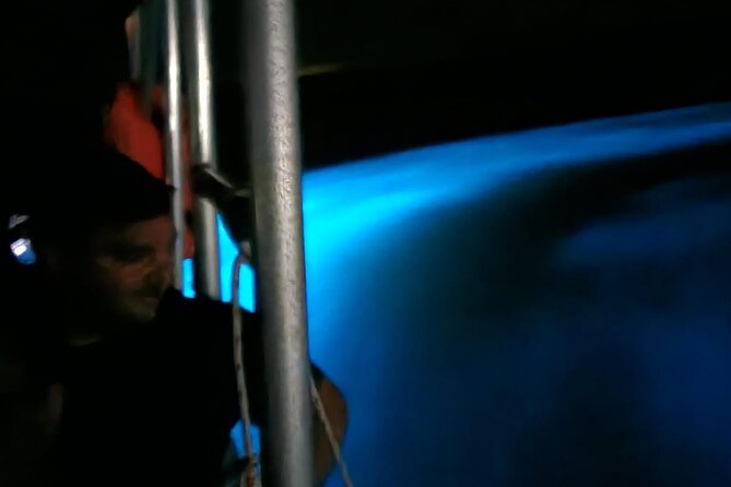 Private Guided Night Tour of Luminous Lagoon in Montego Bay - The value of the $110 price