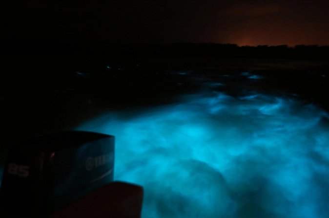 Private Guided Night Tour of Luminous Lagoon in Montego Bay - Who will enjoy this evening most