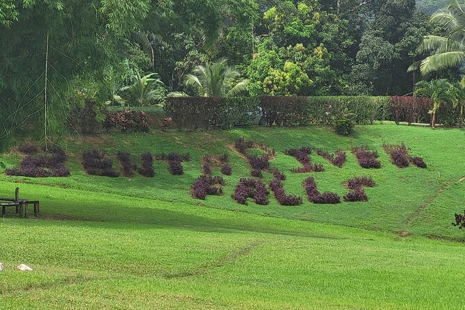 Private Half Day Tour at Benta Falls - What the guided walk adds