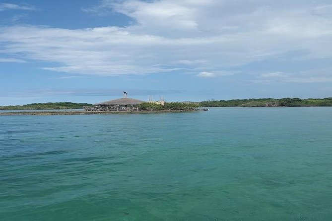 Private Half Moon Beach Tour from Montego Bay - Food, drinks, and cash planning
