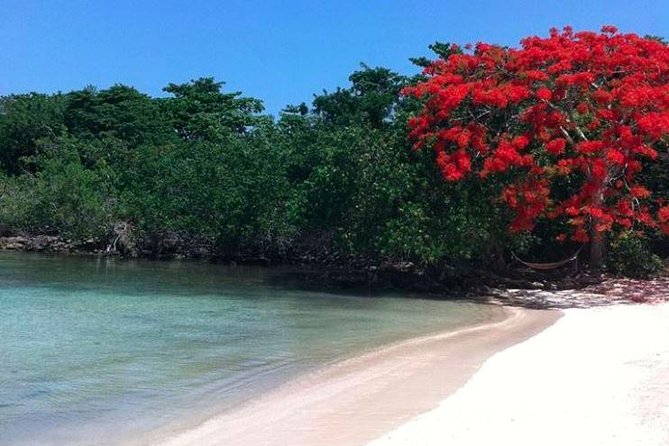 Private Half Moon Beach Tour from Montego Bay - Two hours at Half Moon Beach