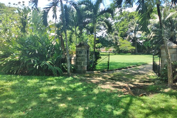 Private Hampden Estate Rum Tour from Montego Bay or Falmouth - Is the Private Format Worth $149.99?
