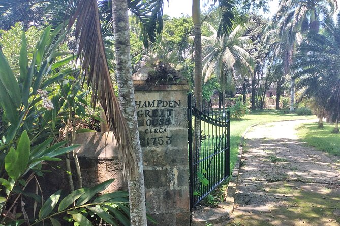 Private Hampden Estate Rum Tour from Montego Bay or Falmouth - Who Will Enjoy This Hampden Tour Most?