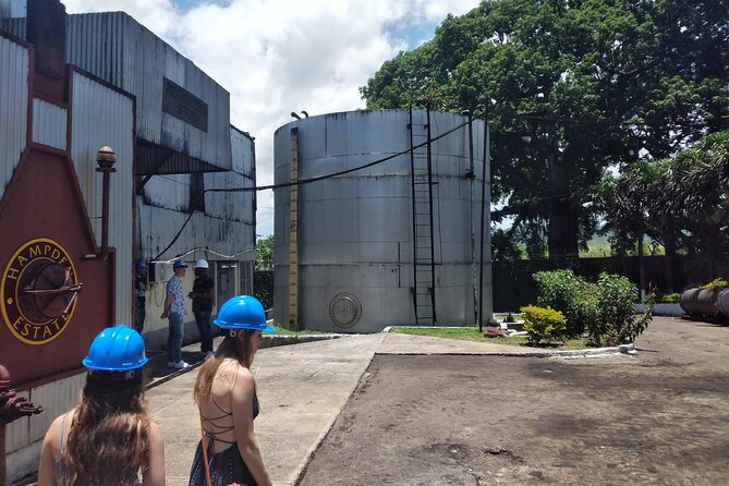Private Hampden Estate Rum Tour from Montego Bay or Falmouth - Following Fermentation and Distillation