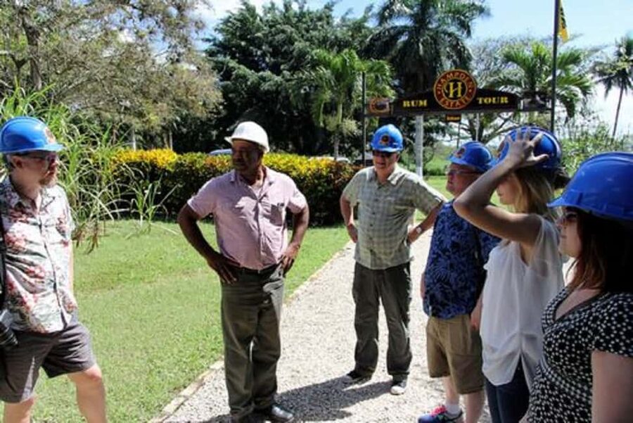 Private Hampden Estate Rum Trip from Montego Bay - From Montego Bay to Queen of Spain Valley