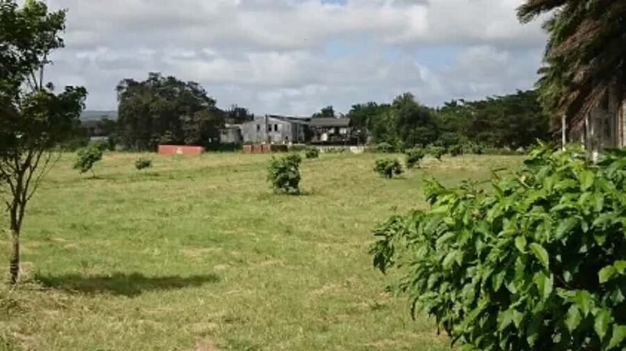 Private Hampden Estate Rum Trip from Montego Bay - The lunch choice and what it means for value