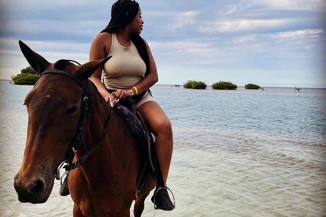 Private Horse Back Riding with ATV Combo. - Pickup from Montego Bay and the ride to the park