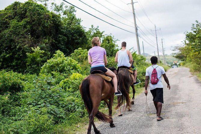 Private Horseback Riding from Ocho Rios with Guide - The short ride from Ocho Rios to the stable