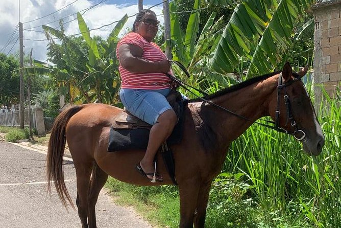 Private Horseback Riding from Ocho Rios with Guide - Choosing your horse and meeting the guide