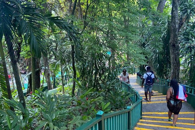Private Horseback Riding, Swimming and Dunn's River Falls Tour - Two Jamaican favorites in one private outing