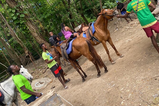 Private Horseback Riding with Blue Hole River Tour in Montego Bay - Two Jamaican highlights packed into four hours