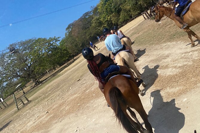 Private Horseback Riding with Blue Hole River Tour in Montego Bay - Forty-five minutes on horseback at Discovery Bay