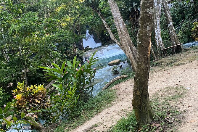 Private Horseback Riding with Blue Hole River Tour in Montego Bay - Private transport and the value of a small group