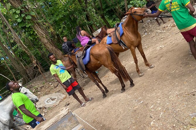 Private Horseback Riding with Blue Hole River Tour in Montego Bay - Who will get the most from this outing