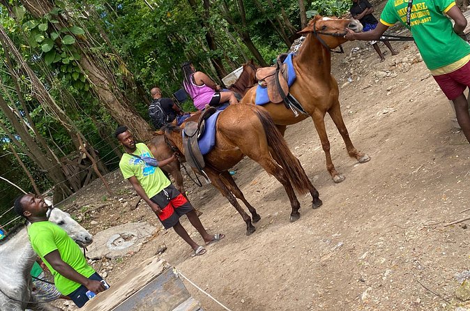 Private Horseback Riding with Blue Hole River Tour in Montego Bay - Service that can shape the day