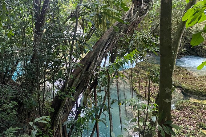 Private Horseback Riding with Blue Hole River Tour in Montego Bay - The road from Montego Bay to Discovery Bay