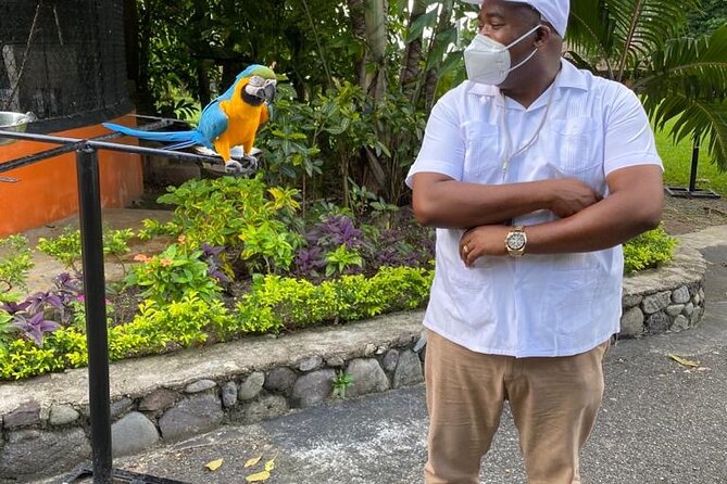 Private Konoko Falls and Blue Hole Combo Tour from Ocho Rios - Blue Hole first, where Ocho Rios gets wild
