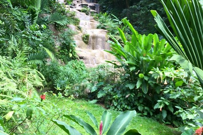 Private Konoko Falls and Blue Hole Combo Tour from Ocho Rios - Mr T, Susanna, and the human side of the outing