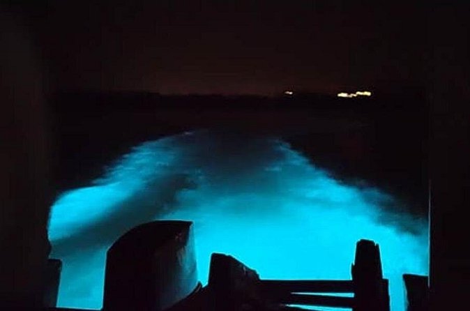 Private Luminous Blue Lagoon Night Tour in Falmouth - What to make of the Rose Hall Great House stop