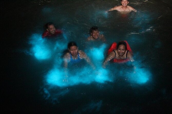 Private Luminous Blue Lagoon Night Tour in Falmouth - Who will get the most from this tour