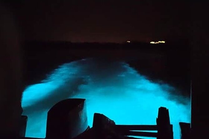 Private Luminous Blue Lagoon Night Tour in Falmouth - Private pickup from Montego Bay