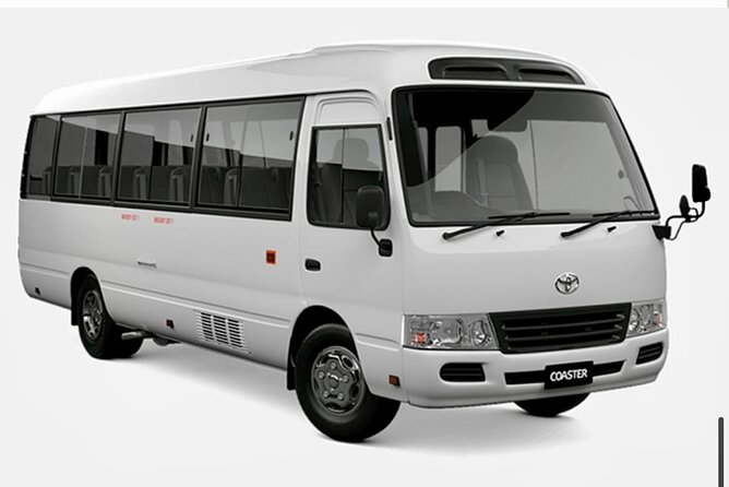 Private Luxury & Grand Bahia Principe Roundtrip Airport Transfer - Who should book this transfer