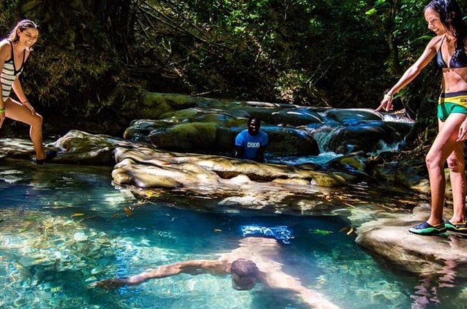 Private Mayfield Falls Waterfalls Tour [ Transportation ] - Why private transport can be worth the extra cost