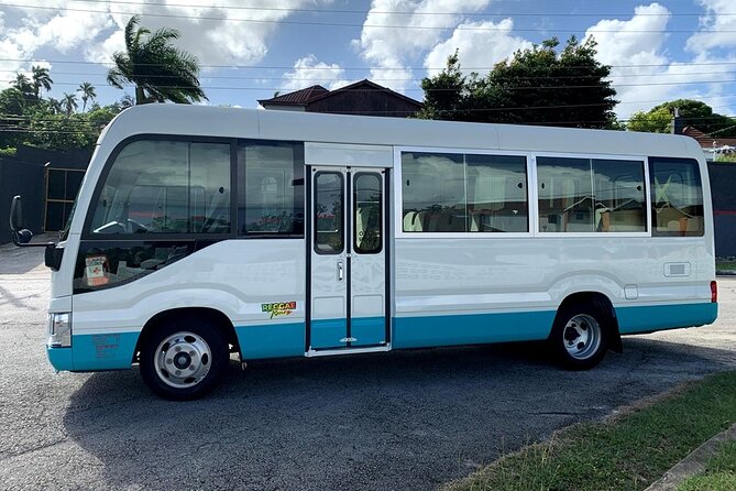 Private Montego Bay Airport Transfer to Ocho Rios Hotels - Leaving Montego Bay Airport without the taxi-line wait