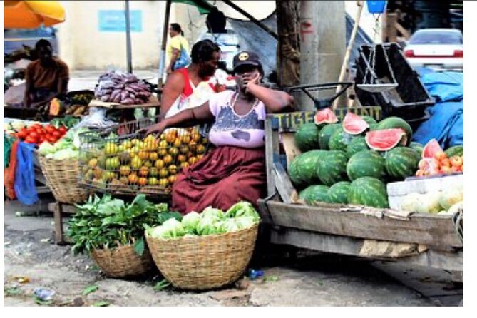 Private Montego Bay City Tour with Sightseeing and Shopping - Doctor’s Cave Beach for a quick coastal pause
