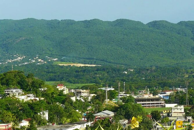 Private Montego Bay Highlights Tour with Pickup Included - Tropical Fruit and the Crafts Market