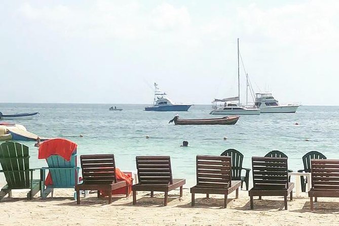 [PRIVATE] Negril Sightseeing Tour with RickS Cafe Cliff Diving - Rutland Point Craft Centre and the art of browsing