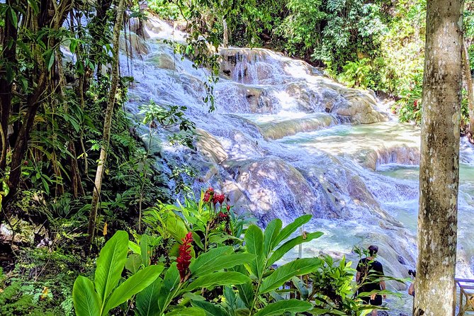 Private Ocho Rios highlight tour - Dunn’s River Falls is the main event