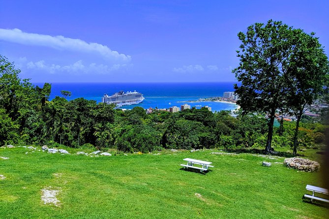 Private Ocho Rios highlight tour - Fern Gully changes the view in 30 minutes
