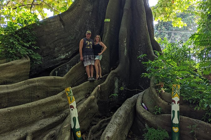 Private Ocho Rios highlight tour - Final call: book it for a private half-day, not a full adventure