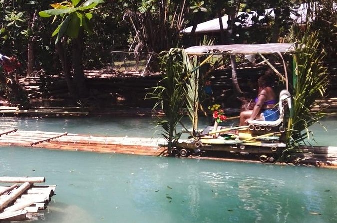 Private River Bamboo Rafting Activity in Ocho Rios Jamaica - Bamboo, clear water, and Jamaican plant life