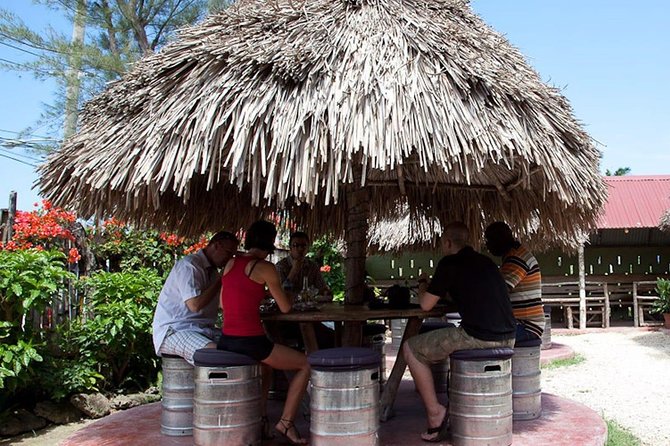 Private Round Trip Transfer for Jamaican Jerk at Scotchie's Ocho Rios - Ordering jerk chicken, pork, fish, and sides