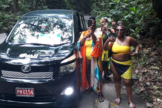 Private Sightseeing Tour from Ocho Rios - Fern Gully gives the tour its green heart