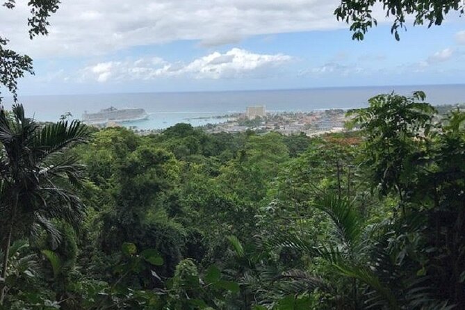 Private Sightseeing Tour in & Around Ocho Rios - Starting near Ocho Rios and the botanical gardens