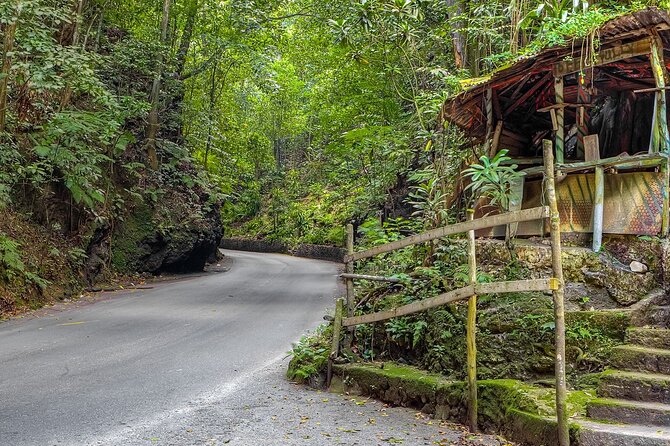 Private Sightseeing Tour in & Around Ocho Rios - Private transport and cruise-port timing