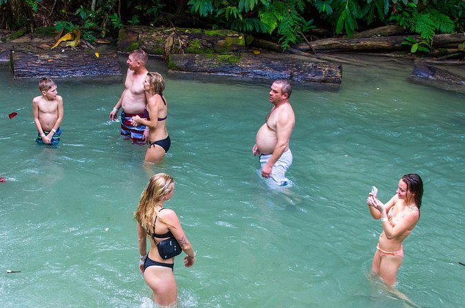 Private Tour - Dunn's River Falls and Ocho Rios Experience from Ocho Rios - Lunch, jerk food, and the shopping stop