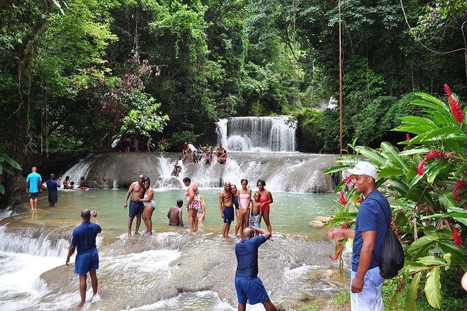 Private Tour from Negril to YS Falls and Pelican Bar - Key details before you book