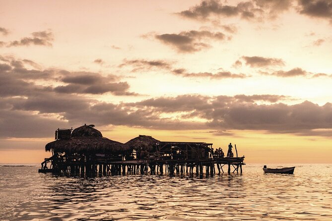 Private Tour from Negril to YS Falls and Pelican Bar - From Negril to Jamaica’s south coast