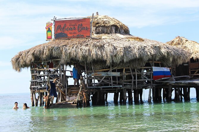 Private Tour from Negril to YS Falls and Pelican Bar - Bamboo Avenue near Alligator Pond