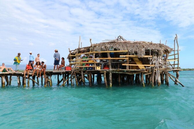 Private Tour from Negril to YS Falls and Pelican Bar - Why the private format matters at $500