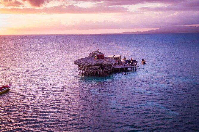 Private Tour from Negril to YS Falls and Pelican Bar - Timing, fitness, and what to bring