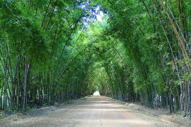 Private Tour from Negril to YS Falls and Pelican Bar - Who will enjoy this Jamaican outing?